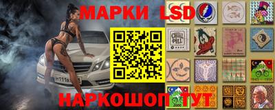 гидра Нальчик