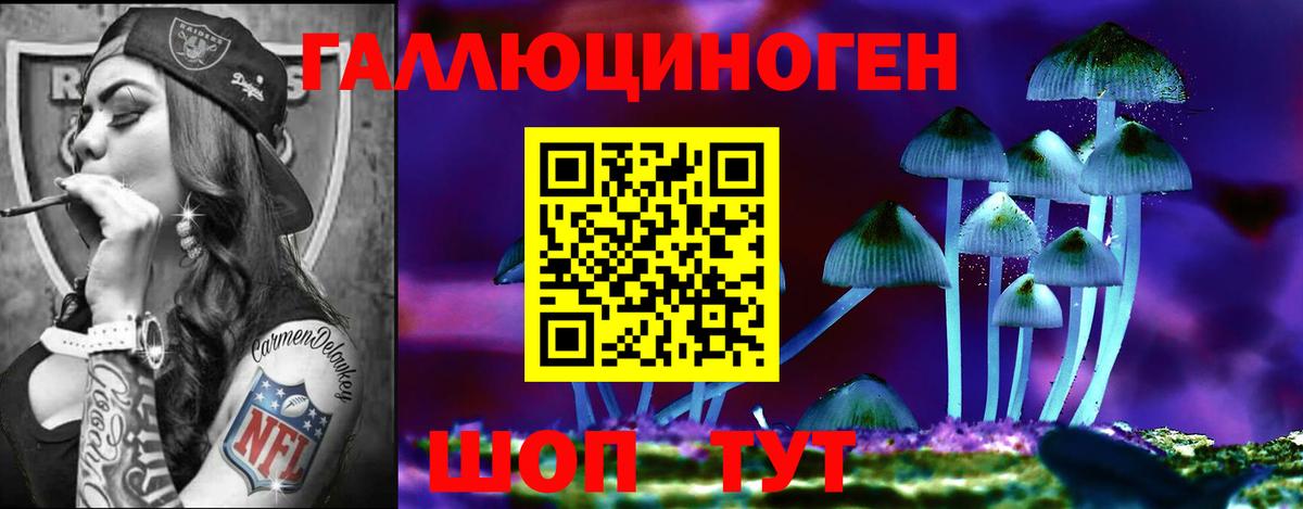 Псилоцибиновые грибы MAGIC MUSHROOMS  Вход с VPN  Фрязино  купить наркоту  Галлюциногенные грибы MAGIC MUSHROOMS 
